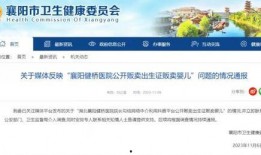 襄阳医院最新爆料公告,揭秘事件真相与进展