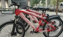 石家庄单车爆料案件最新,真相与争议交织的骑行疑云