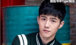 网友爆料川渝男明星视频,网友热议背后的真相